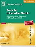Image de Praxis der chinesischen Medizin: Krankheiten behandeln mit Akupunktur und chinesischen Arz