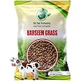 SRI SAI FORESTRY Berseem Grass Seeds for Goat - 1KG - Barseem Seed for Cattle India