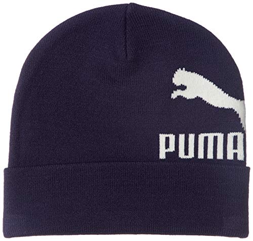 Preisvergleich Produktbild Puma Archive Logo Beanie Peacoat Adult