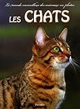 Les chats