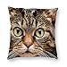 Produktbild Dartys Pillow Cover cat Eyes face Close up Fear Kurze Plüschkissenbezüge Fashion Classic Stripes Home Decor 45x45cm 18x18zoll Schmusetuch Digitaldruck weiche Kissenbezüge Deko
