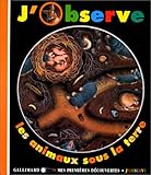 Les animaux sous la terre