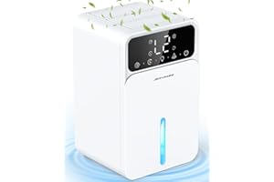 JERVAMNI Deumidificatore, Deumidificatore per Casa, Deumidificatore Portatile 1500ML Controllo Umidità e Muffa, con Timer 12 Ore, Spegnimento/Sbrinamento Automatico