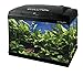 Produktbild Haquoss Evolution 40 Aquarium 40 x 23 x 34h cm, 21 Liter, mit Licht LED 4 Watt, komplett bestückt
