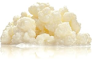 10g de Nódulos Vivos de Kéfir de Leche – Cultivo Casero + Instrucciones y Recetario – Probiótico Natural – Ideal para Principiantes – Hongo de Kéfir - OH MY KÉFIR®