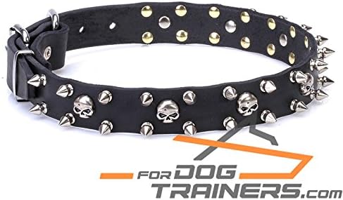 24 inch 'Buccaneer Legacy' Brown Leather Dog Collar with Chrome Plated Spikes and Small Skulls - 1 inch (25 mm) wide