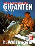 Image de Geheimnisvolle Giganten: Alles über das Welsangeln