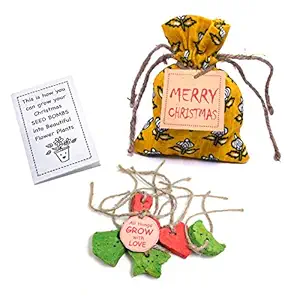 SURPRISE SOMEONE Christmas Theme Potli with 5 Seed Bombs in Xmas Theme Along with Instruction Card and Gift Tag