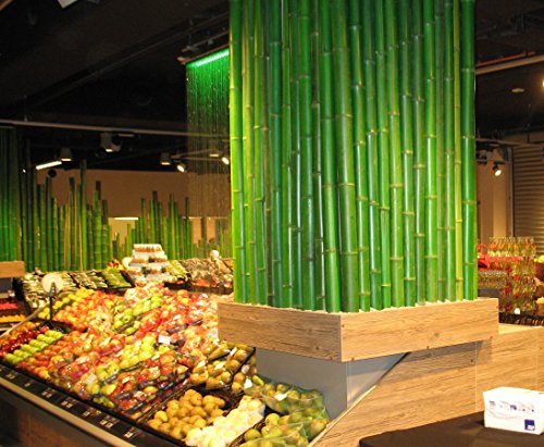 Bambusstange grün gefärbt Durch. 4,8 bis 6,5cm 200cm, Moso – Bambusrohre, Rohre aus Bambus, Bambus Rohre Bambusrohr –> großes Sortiment an Sichtschutz, Bambus, Schilf und Naturprodukte für Garten - 4