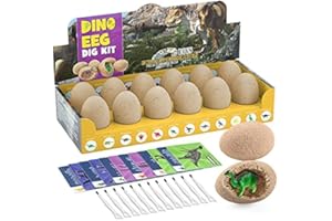 KidMigo Dinosaurier Eier Spielzeug, Dinosaurier Ei, STEM Dinosaurier Spielzeug, 12 Dino Eier, Archäologie-Spielzeug, Fossilien Ausgrabungsset Kinder, Kindergeburtstag Gastgeschenke