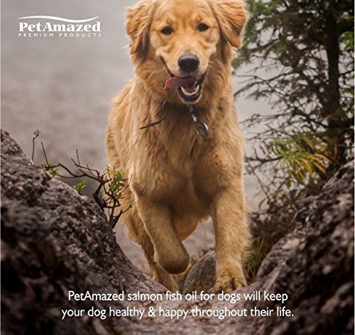PetAmazed-Pure-Salmon-Fish-Oil-for-Dogs-Cats--Best-Omega-3-Liquid-Food-Supplement-for-Pets--Contains-EPA-DHA-Fatty-Acids-for-Improved-Skin-Coat--Naturally-Supports-Joint-Immune-Brain-Function--Relieve