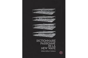 Dictionnaire passionné de la new wave