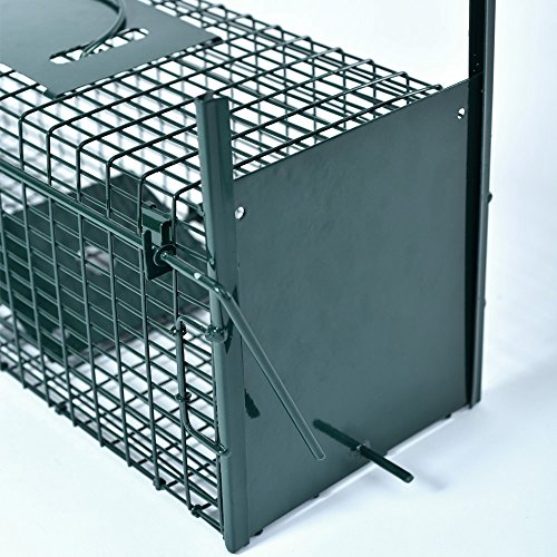 Lebendfalle 53 x 19 x 19 cm mit 2 Eingängen Drahtfalle / Rattenfalle mit Bissschutz & Trittbrett professionelle Tierfalle mit Rahmenverstärkung Türsicherung sofort einsatzbereit & pulverbeschichtet - 7