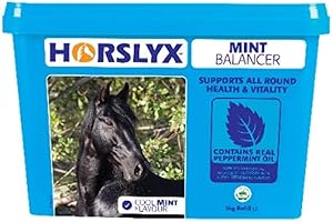 Horslyx Mint Balancer Horse Supplement Lick, 5 kg