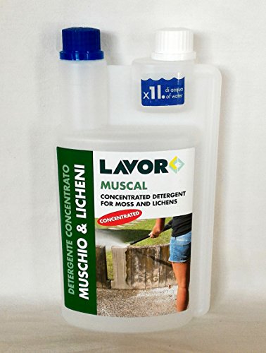 Lavorwash muscal 1Litro Limpiador Concentrado para idropulitrici contra muschi y licheni