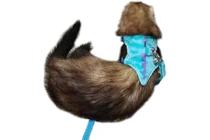 Anelekor Ensemble harnais et laisse pour furet avec clochette de sécurité en forme de dinosaure pour bébé, lapin, cochon d'Inde, tasse de thé, chihuahua, souris et autres petits animaux de compagnie