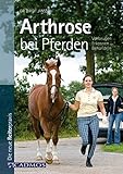 Image de Arthrose bei Pferden: Vorbeugen-Erkennen-Behandeln
