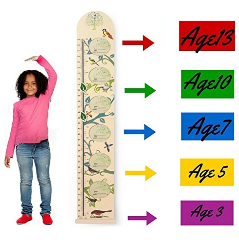 Kids Wall Wooden Growth Height Chart- Hanging Ruler for Children- Easy to Move, Fold-able, Nursery Decal from HAPPYBABY-HAPPYYOU with Picture Frames