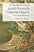 Produktbild Asian Slaves in Colonial Mexico (Cambridge Latin American Studies, Band 100)