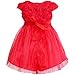 iiniim Baby Girl's Rose Flower Wedding Princess Dress Red 3-6 Months