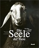 Image de Die Seele der Tiere: Gesichter, Gefühle, Geschichten