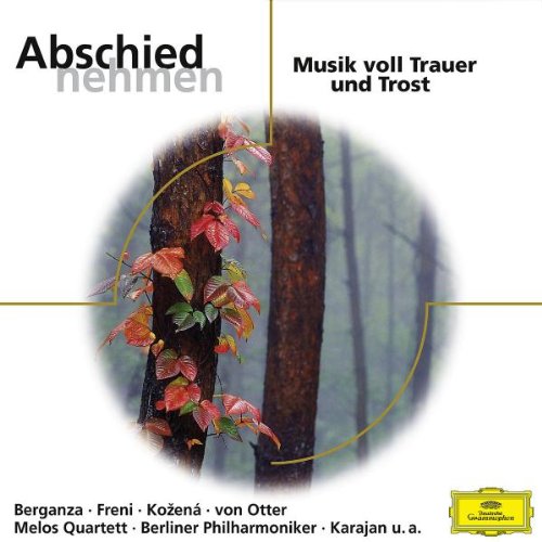 Preisvergleich Produktbild Abschied Nehmen