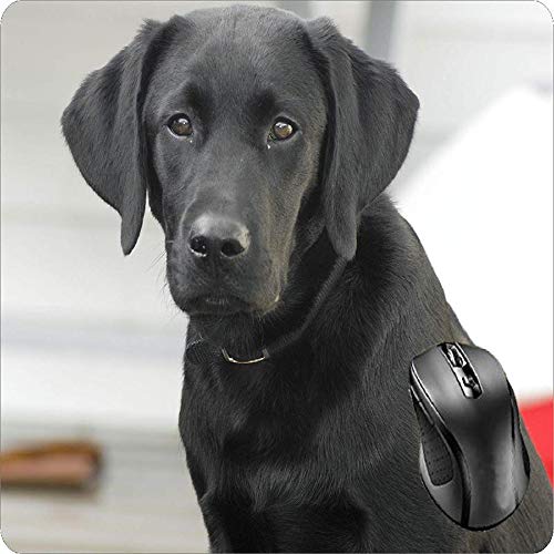 Preisvergleich Produktbild BGLKCS