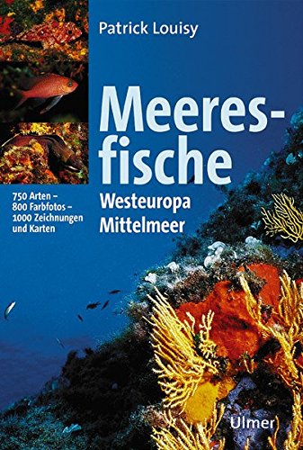 Download Meeresfische: Westeuropa und Mittelmeer