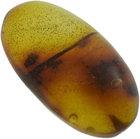 Gem gemstone DOMINICAN REP. NATURAL AMBER in CABOCHON OVAL 5.64ct. 22x11mm.