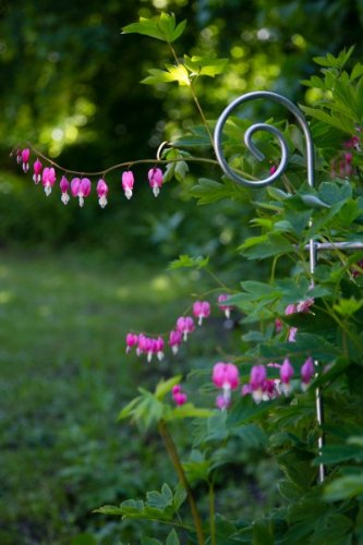 Stabiler Staudenhalter Verzinkt Ø 60cm, Volleisen Strauchhalter, Rankgerüst, - 5