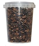 500 ml Grillen gefriergetrocknete / getrocknet |...