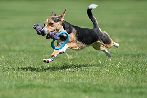 Beco-Pets-Beco-Hoop-on-Rope-Large-Pink