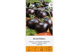 ŽALIA STOTELĖ Zalia stotele | Semillas de TOMATE - BLACKBALL | Semillas de Hortalizas | Semillas Tomate | semillas de plantas | semillas de jardín | 1 paquete