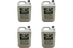 AERREGI 4X5LT BIOETANOLO COMBUSTIBILE Liquido Ecologico Naturale INODORE Camino