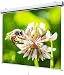 Produktbild celexon manuell ausziehbare Rollo-Beamer-Leinwand Expert - 300 x 225 cm - 4:3 - Gain 1,0 - Full-HD und 4K