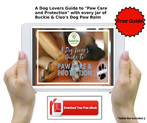 Patte-de-chien-Baume--apaisant-hydratant-et-Gurison-Beurre-Baume-pour-fissur-Sec-ou-Rugueuses-Paw-Coussinets-Naturel-de-protection-et-de-traitement-pour-les-chiens-sensibles-avec-les-douleurs-ou-Infla