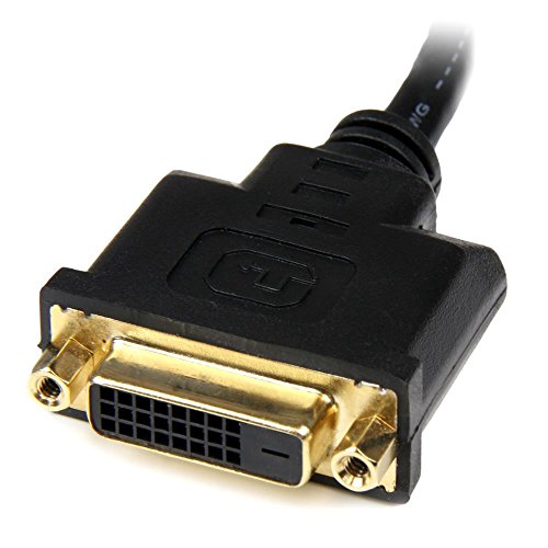 StarTech.com HDMI auf DVI Adapter 20cm – DVI-D (25 pin) (Buchse) zu HDMI (19 pin) (Stecker) – Monitor Dongle Adapterkabel - 3