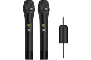Depusheng W2 Tragbares dynamisches UHF-Mikrofon, drahtloses Mikrofonsystem für Karaoke- und Hauspartys über das Mischpult, PA-System usw