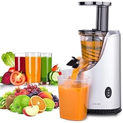 zociko Centrifugeuse Extracteur, Extracteur de Jus Centrifugeuse INOX Blender Professionnelle Électrique Mixeur Juice Fountain Squeezer Centrifugeuse Les Fruits et legumes, 200W, Argenté