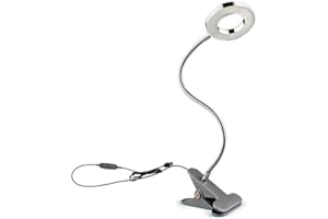 WeFoonLo Dimmable 5W LED USB Plug Clip On Light Flexible Gooseneck Reading Lamp for Laptop, Book,Piano,Bed Headboard,Desk, 3 Lighting Colors, 10 Brightness Levels (Silver)