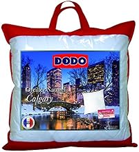 Dodo 64476 Calgary Oreiller Naturel Garnissage Duvet d'Oie et de Canard/Plumettes Blanc 65 x 65 cm
