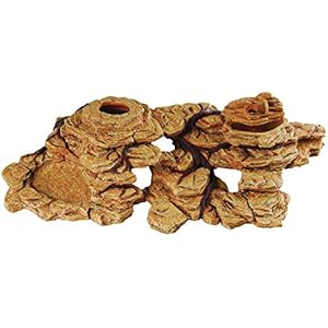 repstyle Rock mit Wurm Gericht,