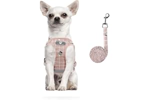 FEimaX Arnes Perro Pequeño Mediano Gato Arnés Antitirones Chaleco Pecho de Malla Suave Reflectante Ajsutable Arneses y Correa de Nylon para Cachorros Perros Gatos