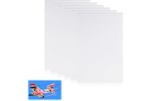 EDDRFY 6 lastre in schiuma bianca 30 x 20 cm, pannelli in schiuma bianca 5 mm, cartone piuma per fai da te, display, trucchi, lastra di polistirene per progetti fai da te, arte, scuola, decorazione