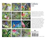 Image de Colibris 2016 Calendar