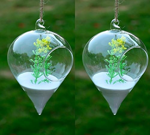 Artlass Pack of 2 Hanging Glass Terrarium Clear Flower Hanging Vase Bottle Container