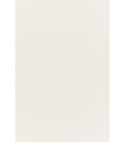 ADESIVO ESPECIAL TINTORETTO GESSO - Papéis