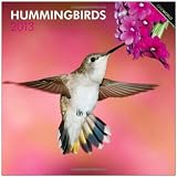 Hummingbirds 2013 - Kolibris - Original BrownTrout-Kalender by