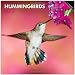 Hummingbirds 2013 - Kolibris - Original BrownTrout-Kalender by