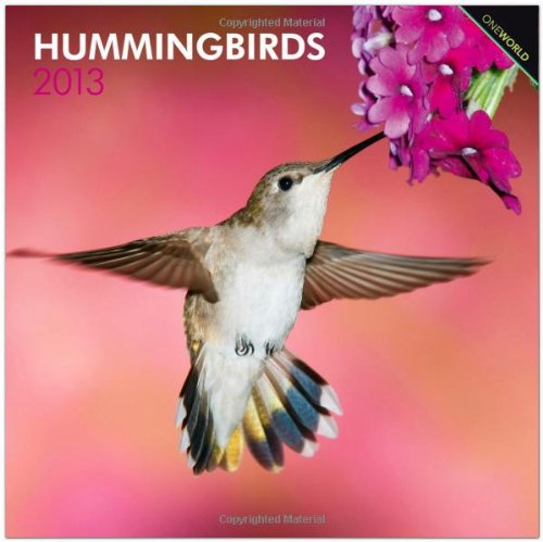 Hummingbirds 2013 - Kolibris - Original BrownTrout-Kalender